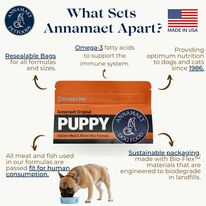 The-Best-Healthiest-Dog-Food-In-Singapore.jpg