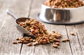 Get-The-Best-Grain-Free-Dog-Food-In-Singapore.jpg