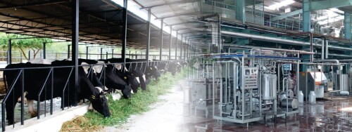 cropped-Dairy-News-7X7-Cover-Photo-scaled-1.jpg
