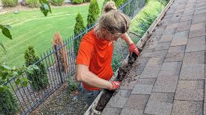 The-Best-Gutter-Cleaner-Near-Me.jpg