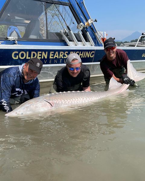 Best-Fraser-River-Sturgeon-Fishing-Charters.jpg