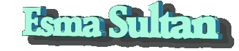 esss8ec4d4b96605cfbf.gif