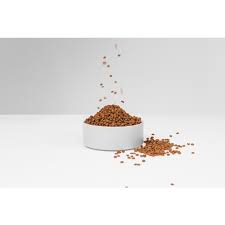 Get-The-Best-Grain-Free-Dog-Food-In-Singapore.jpg
