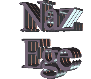 1212.gif