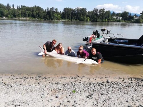 Best-Fraser-River-Sturgeon-Fishing-Charters.jpg