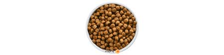 Best-Kibbles-For-Dogs-In-Singapore.jpg