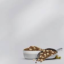 Get-The-Best-Grain-Free-Dog-Food-In-Singapore.jpg