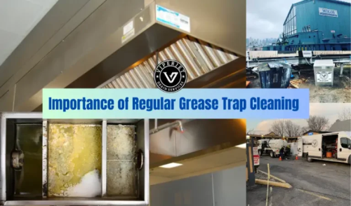 In the bustling world of commercial kitchens, where the rhythm of cooking never ceases, the grease trap stands as a silent guardian against plumbing chaos. Often overlooked but profoundly crucial, a well-maintained grease trap is the unsung hero that keeps your kitchen running smoothly.
https://viperjetdrain.com/the-importance-of-regular-grease-trap-service-for-your-commercial-kitchen/
