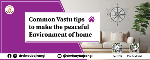 Vastu principles bring positive energy to the premises to maintain peace and prosperity. Let’s understand few common Vastu shastra tips that bring prosperity and peace to your home.

https://www.vinaybajrangi.com/blog/vastu/vastu-tips-for-home