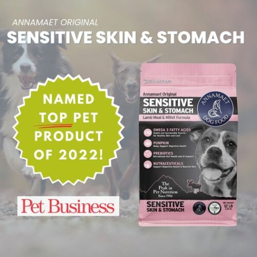 The-Best-Food-for-Sensitive-Skin-Dogs.jpg