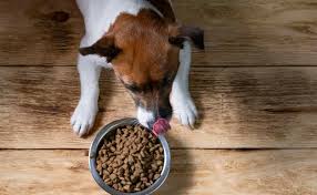 The-Best-Way-to-Get-Low-Fat-Dog-Food.jpg