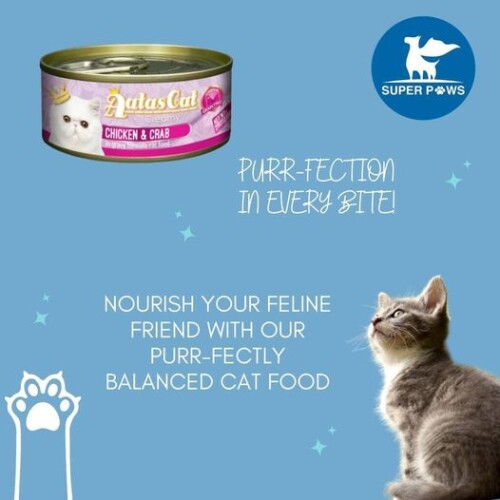 Buy-Best-Cat-Kibble-In-Singapore.jpg