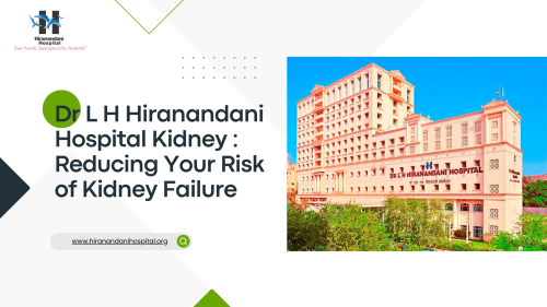 Dr-L-H-Hiranandani-Hospital-Kidney-Reducing-Your-Risk-of-Kidney-Failure.png