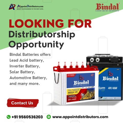 Opportunity-of-Inverter-Battery-Distributorship.jpg