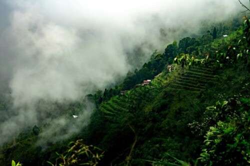 Darjeeling-Tour-Packages.jpg