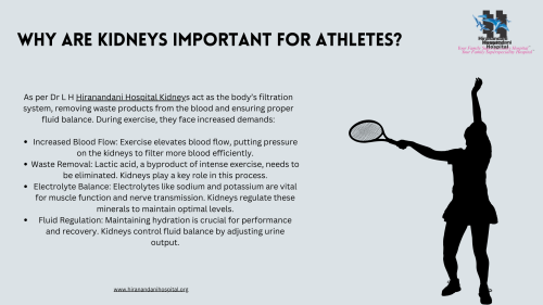 Kidney-Health-in-Athletes-Managing-Performance-and-Hydration---Dr-L-H-Hiranandani-Hospital-Kidney-1.png
