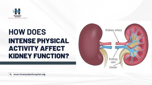 How-does-intense-physical-activity-affect-kidney-function.jpg