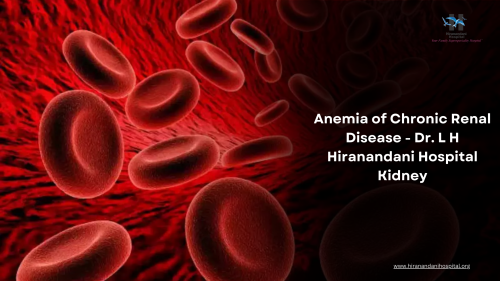 Anemia-of-Chronic-Renal-Disease---Dr.-L-H-Hiranandani-Hospital-Kidney.png