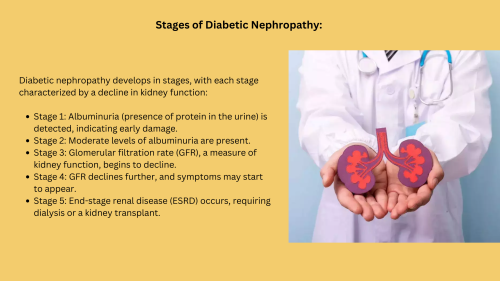 Understanding-Diabetic-Nephropathy-Dr-L-H-Hiranandani-Hospital-Kidney-1.png