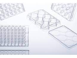 CELLSTAR-Cell-Culture-Multiwell-Plates.jpg