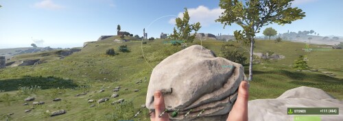 rs1.jpg
