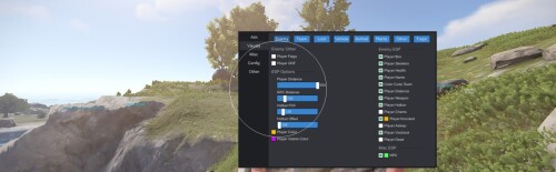rs2.jpg