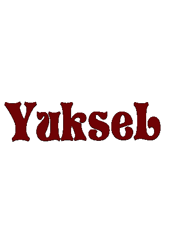 HAREKETSIZZZZZ.gif