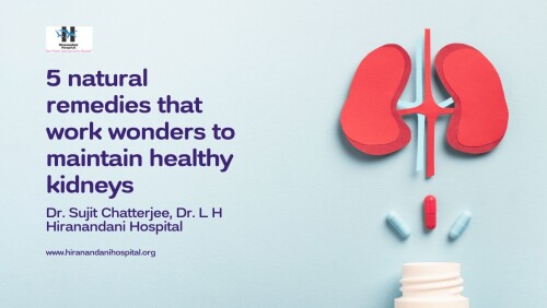 5-natural-remedies-that-work-wonders-to-maintain-healthy-kidneys--Dr.-Sujit-Chatterjee-Dr.-L-H-Hiranandani-Hospital.jpg