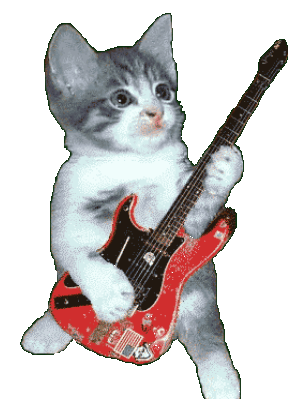 guitar cat