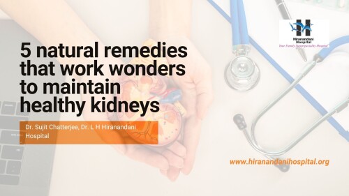 5-natural-remedies-that-work-wonders-to-maintain-healthy-kidneys--Dr.-Sujit-Chatterjee-Dr.-L-H-Hiranandani-Hospital-1.jpg