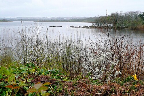 Loch_Bhaile_Ui_Choirc_Lough_Ballycuirke_-_geograph.org.uk_-_1289419.jpg