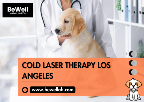 Cold Laser Therapy Los Angeles