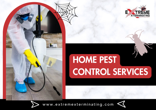 rotect your home from unwanted pests with Home Pest Control Services. Extreme xterminating experienced technicians offer comprehensive pest control services tailored to your specific needs, ensuring a pest-free environment for you and your family.