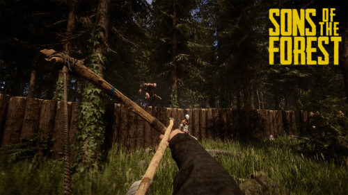 sons-of-the-forest-co-op.jpg