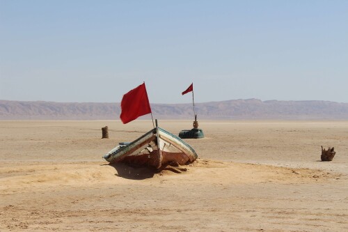 Chott_Djerid_003.jpg