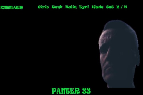 panter.jpg