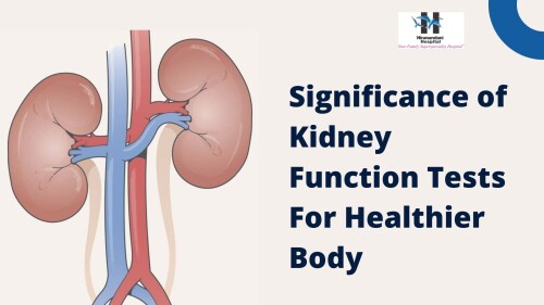 Significance-of-Kidney-Function-Tests-For-Healthier-Body.jpg