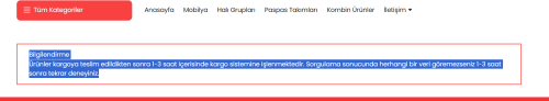 resim_2024-03-12_152724853.png