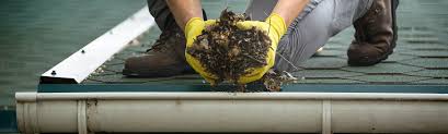 The-Best-Gutter-Cleaning-Services-in-Sydney.jpg