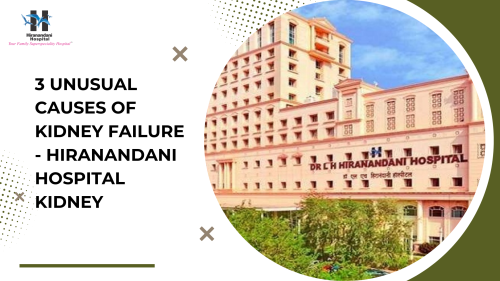 3-Unusual-Causes-Of-Kidney-Failure---Hiranandani-Hospital-Kidney.png