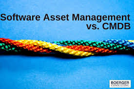 Software-Asset-Management-Microsoft.jpg