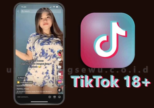 tiktok-18-plus.jpg