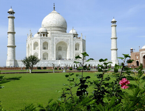 taj2.jpg