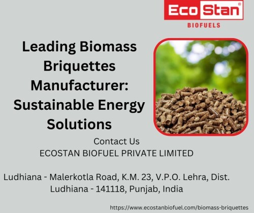 Biomass-Briquettes-Manufacturer.jpg
