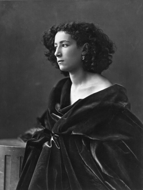 Sarah_Bernhardt_par_Nadar_1864.jpg