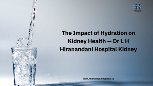 The-Impact-of-Hydration-on-Kidney-Health--Dr-L-H-Hiranandani-Hospital-Kidney.png