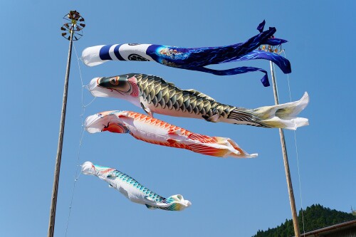150425_Koinobori_Chizu_Tottori_pref_Japan01bs.jpg