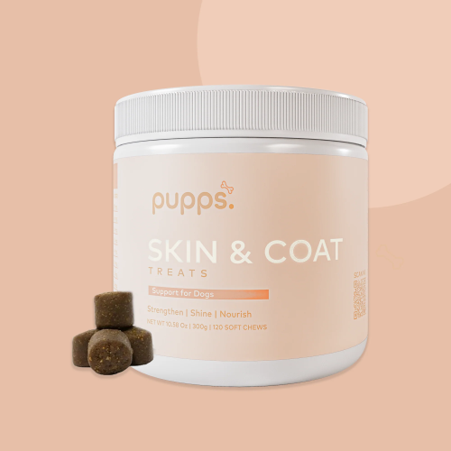 Transform your furry friend's coat with our premium dog skin and coat supplement, available online now! Say goodbye to dry skin and dull fur with our carefully curated formula. Shop today at https://pupps.com/products/skin-coat-dog-treats for a happier, healthier pup!