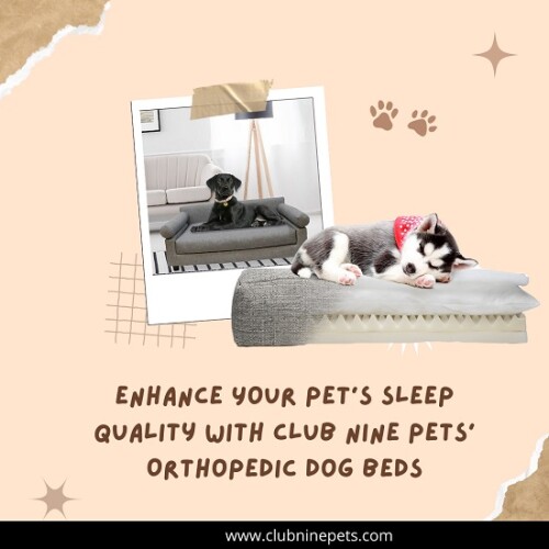 Elevate your pet's lifestyle with luxury and contemporary dog furniture from Club Nine Pets. Explore our exquisite collection at home furnishing stores and online.

https://www.clubninepets.com/home-furnishing-stores
