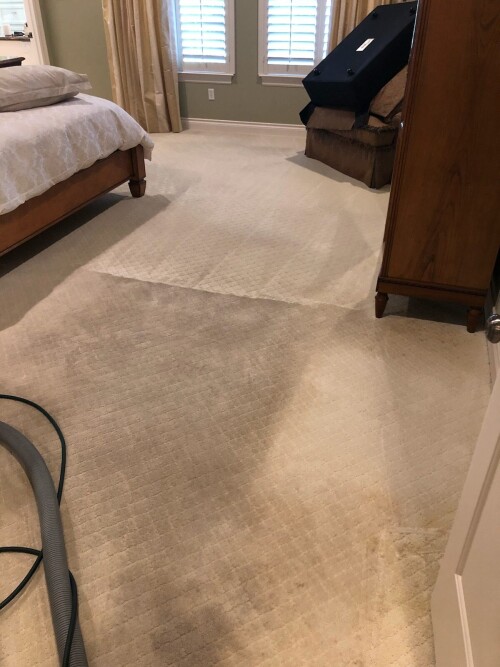 Oopssteam.com is the perfect solution for all your steam cleaning needs! Our unique approach and superior service will leave your home looking and feeling refreshed - all without the hassle of traditional cleaning methods. Experience the difference with Oopssteam.com!

https://oopssteam.com/tomball/area-rug-cleaning/